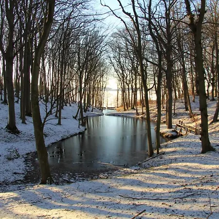 Apartmán Appartementhaus Moewe Haus Moewe - 3 